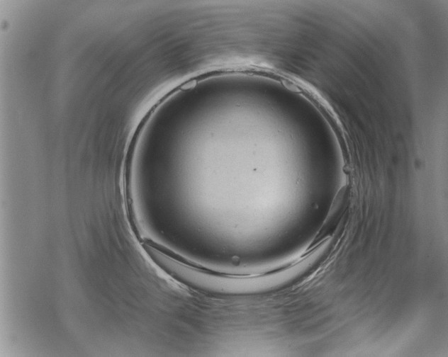 X0000068821343200605051201