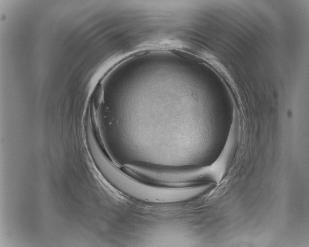 X0000068821344200605051201