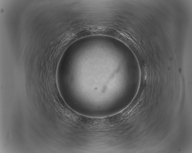 X0000068821345200605051200