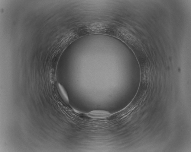 X0000068821346200605051200