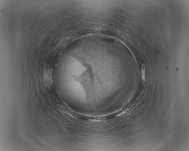 X0000068821347200605051200