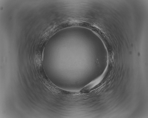 X0000068821348200605051200