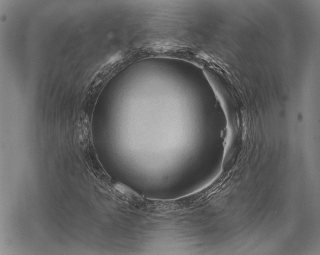 X0000068821349200605051200