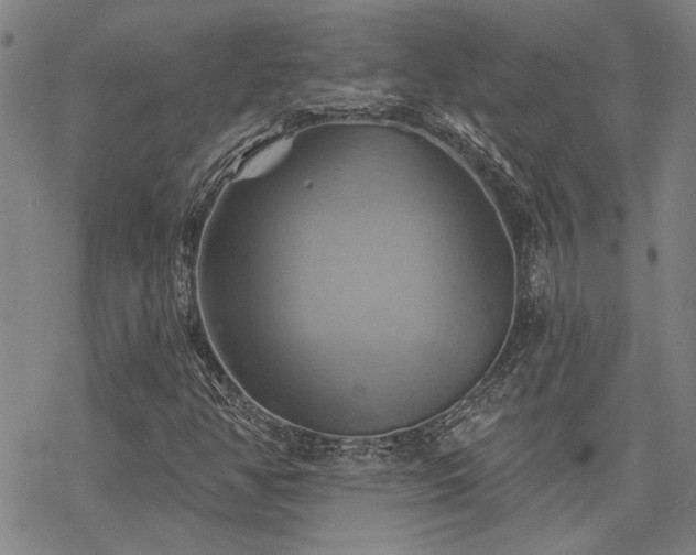 X0000068821350200605051200