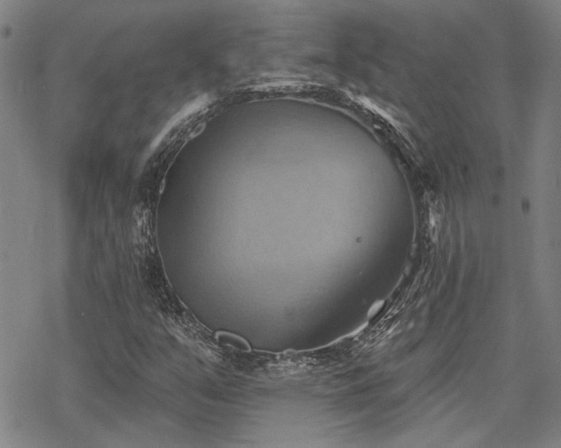 X0000068821351200605051200