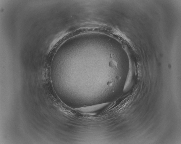 X0000068821352200605051200