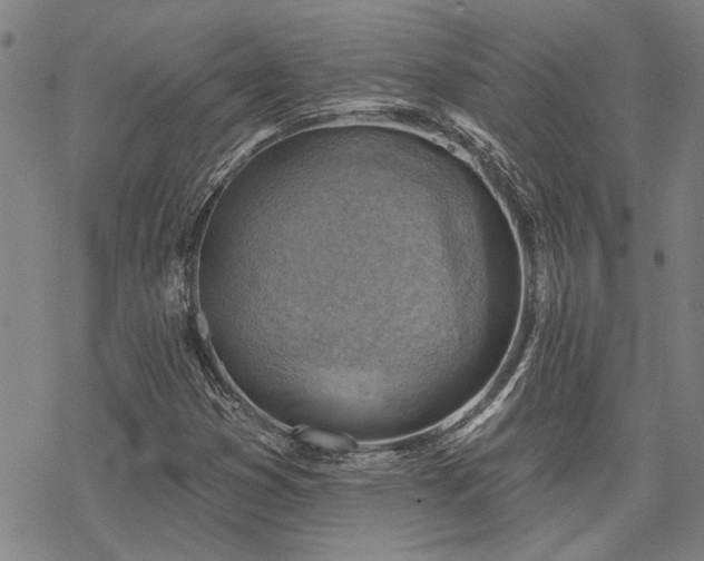 X0000068821353200605051200