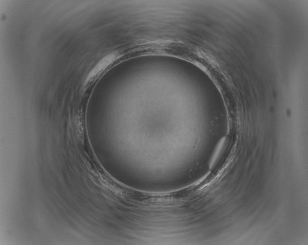 X0000068821354200605051200