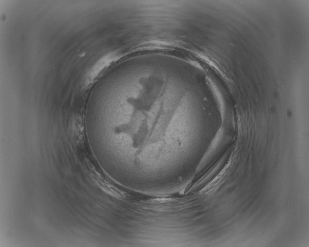 X0000068821355200605051200