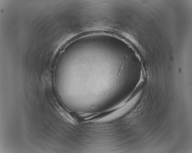 X0000068821356200605051200