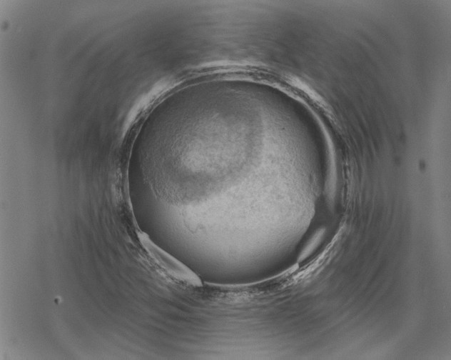 X0000068821357200605051200