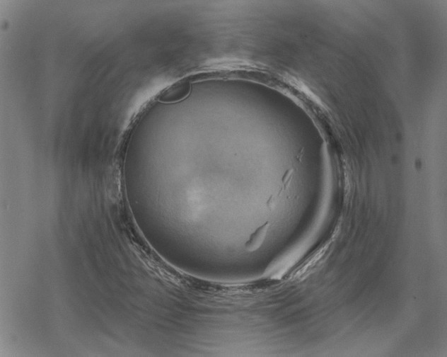 X0000068821358200605051200