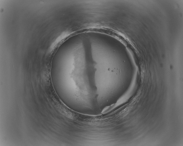 X0000068821359200605051200