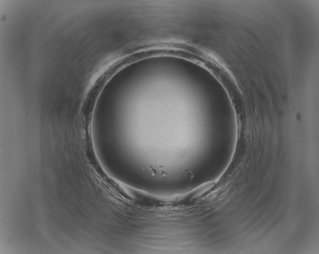 X0000068821360200605051200