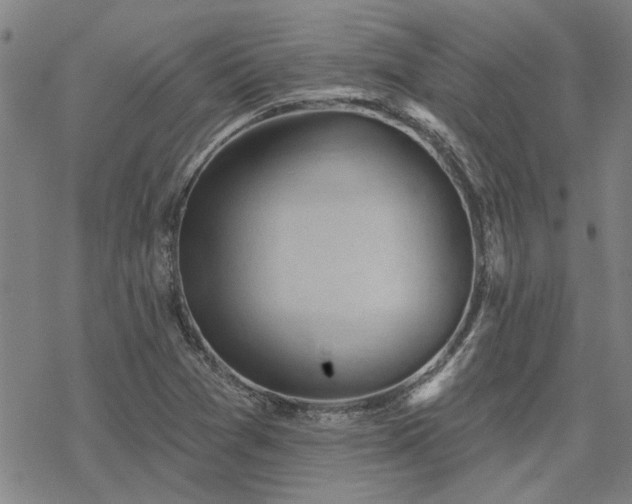 X0000068821361200605051200