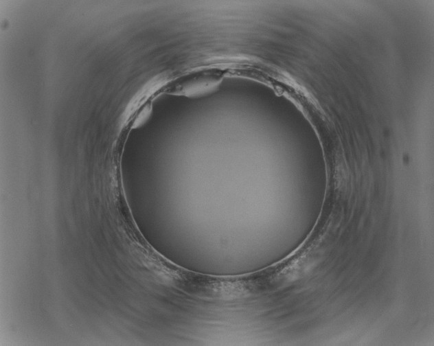 X0000068821362200605051200