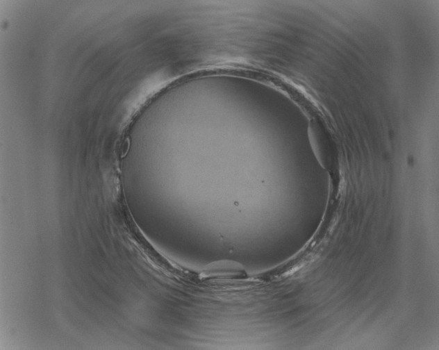 X0000068821363200605051200