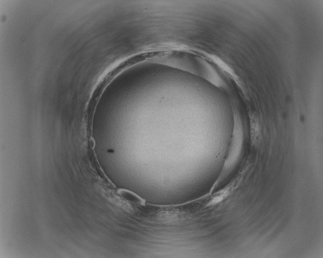 X0000068821364200605051200