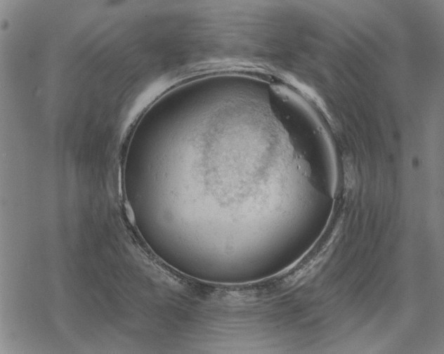 X0000068821365200605051200