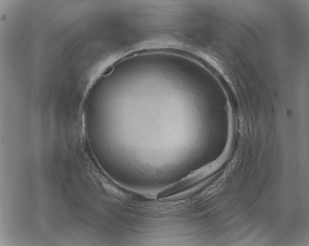 X0000068821366200605051200