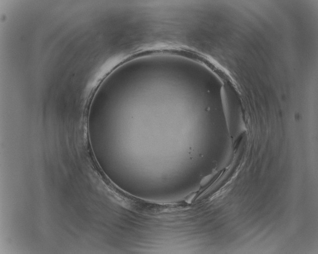 X0000068821367200605051200