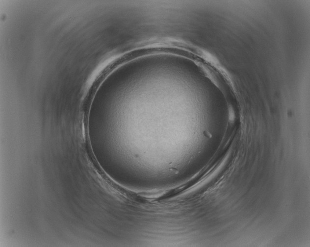 X0000068821368200605051200