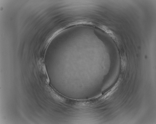 X0000068821369200605051159