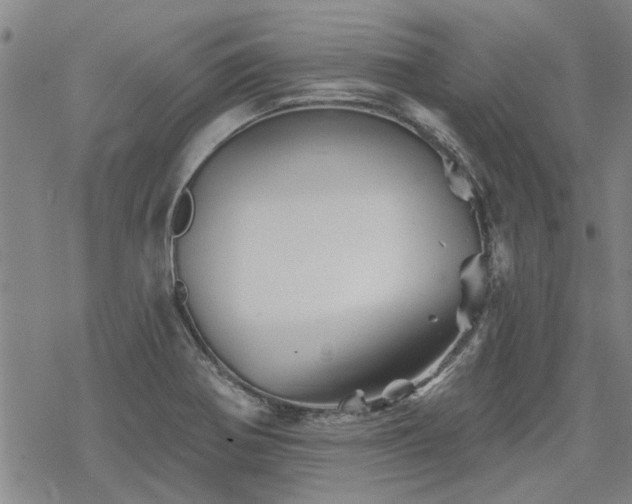 X0000068821370200605051159