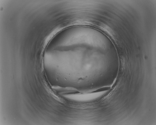 X0000068821371200605051159