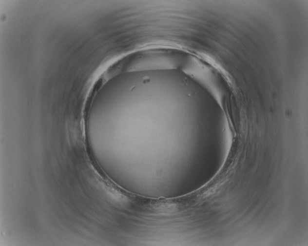 X0000068821372200605051159