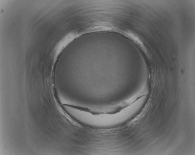 X0000068821373200605051159