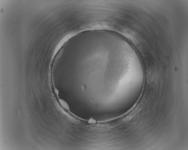 X0000068821374200605051159