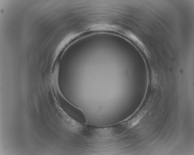 X0000068821376200605051159