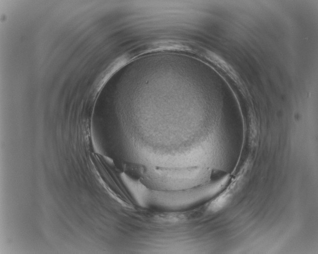 X0000068821377200605051159