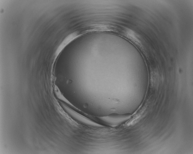 X0000068821378200605051159