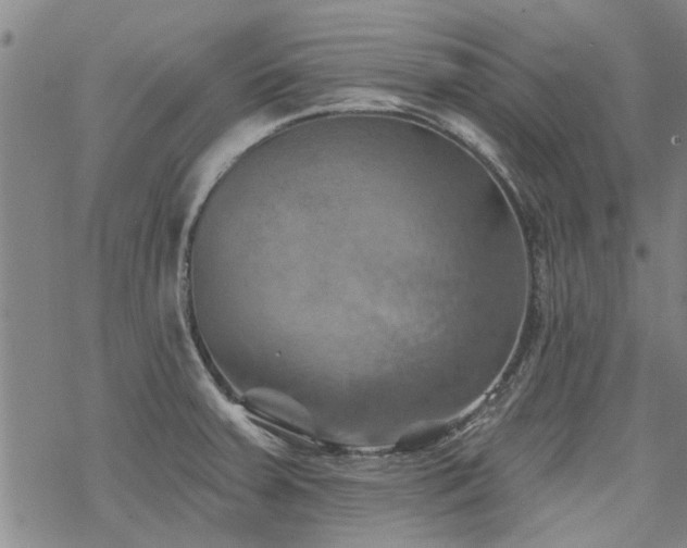 X0000068821379200605051159