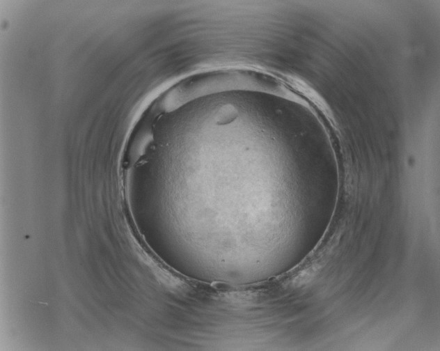 X0000068821380200605051159