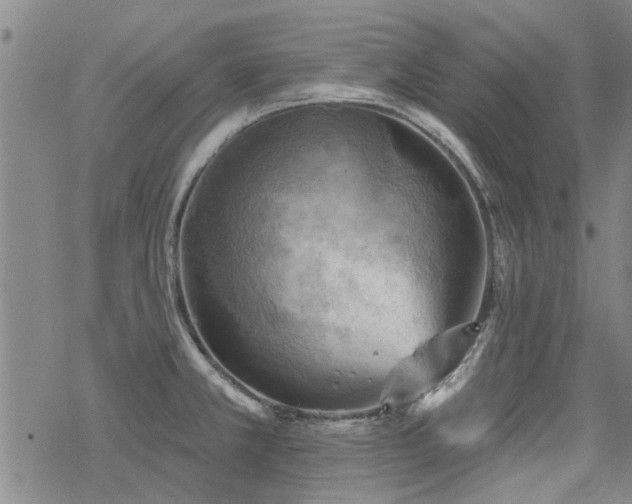 X0000068821381200605051159