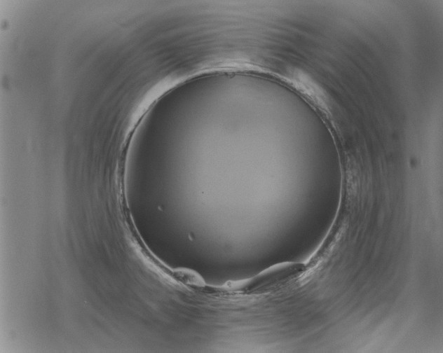 X0000068821382200605051159