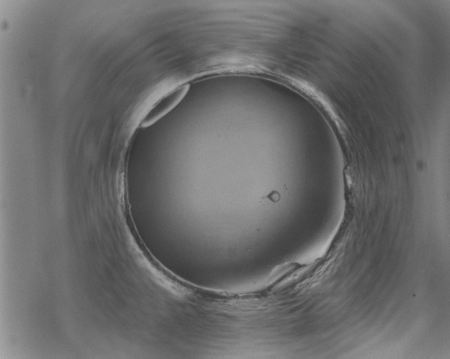 X0000068821383200605051159