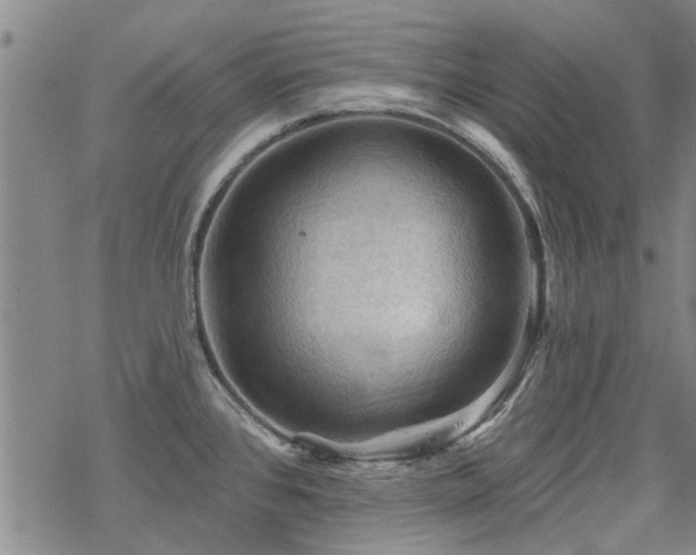 X0000068821384200605051159