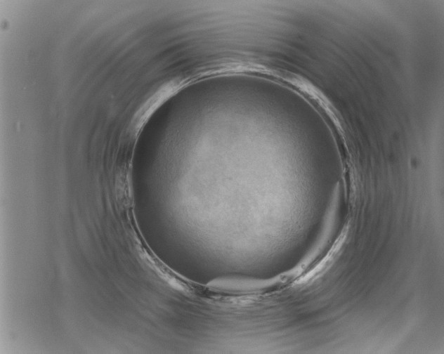 X0000068821385200605051159