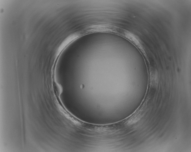 X0000068821386200605051159