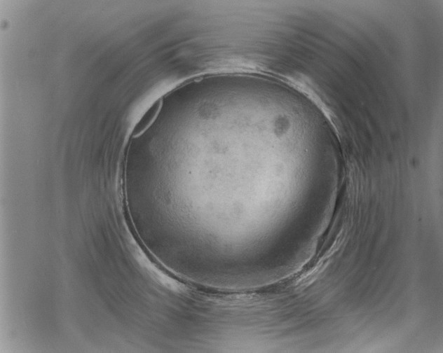 X0000068821387200605051159