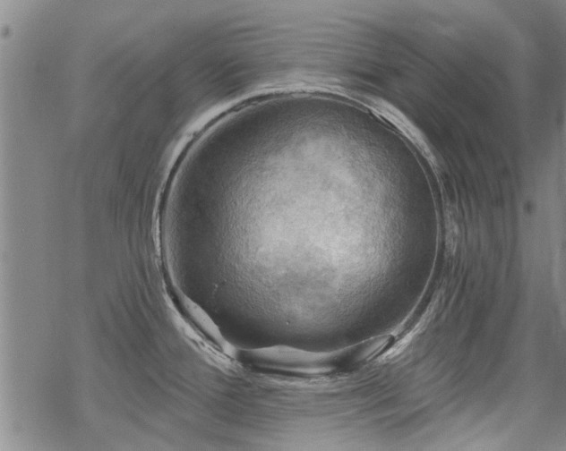 X0000068821388200605051159