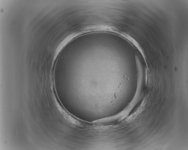 X0000068821389200605051159