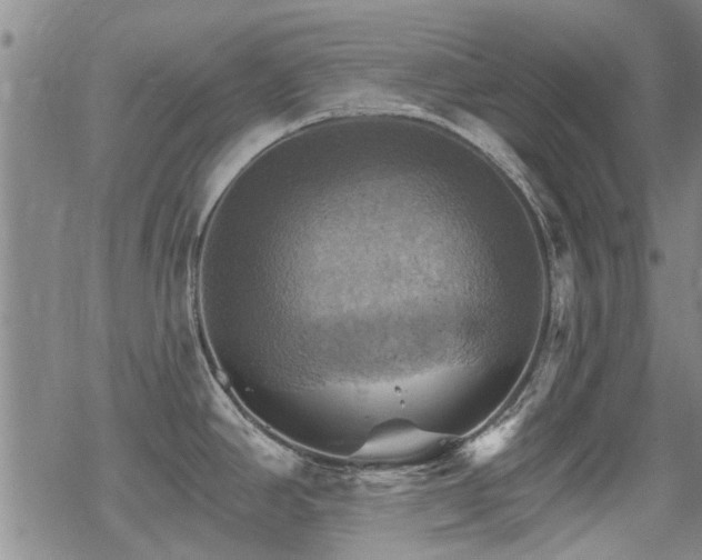 X0000068821390200605051159