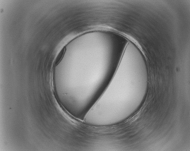 X0000068821391200605051159