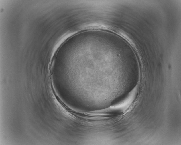 X0000068821392200605051159