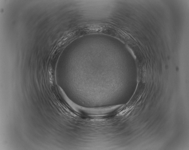 X0000068821394200605051158